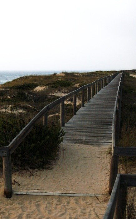 Bridge in Quiaios