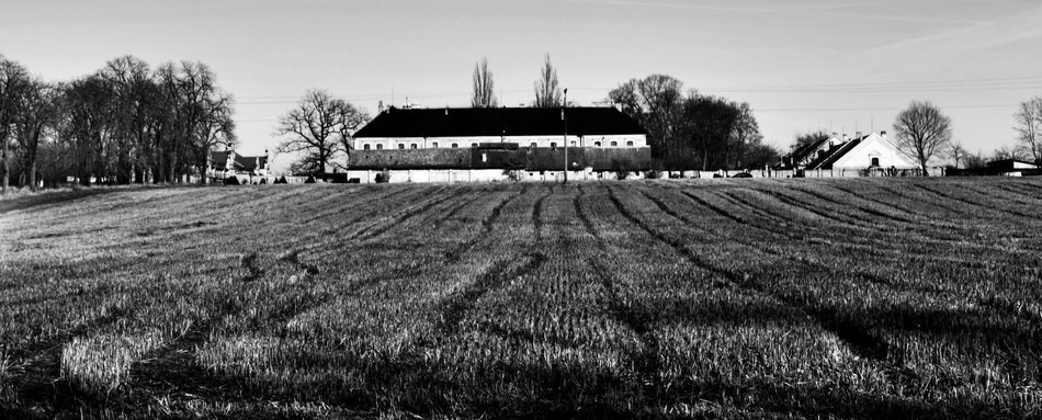 farm buildings at harvested field, black and white