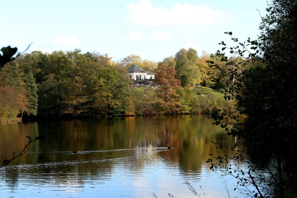 lake view in the autumn