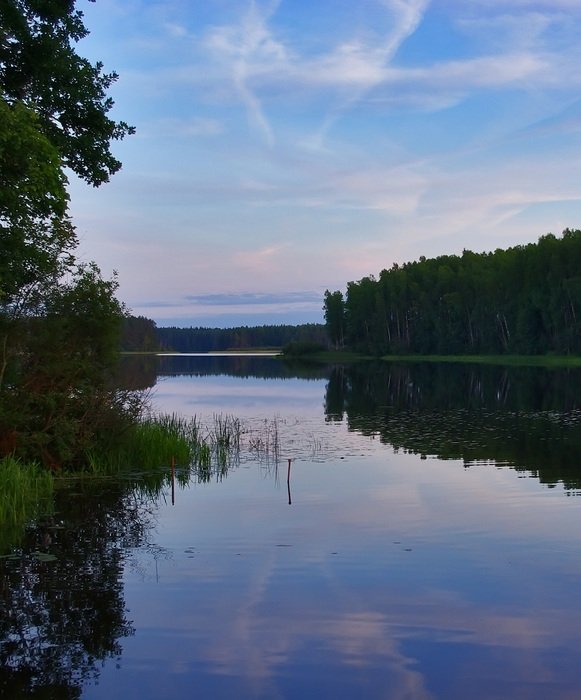 landscape picture of the lake and forest