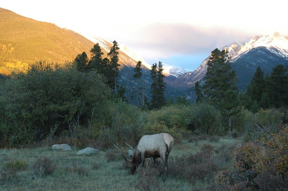 extraordinary beautiful estes park