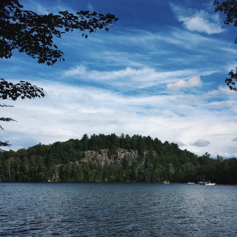 panorama of the lake on the background of the forest on the hill