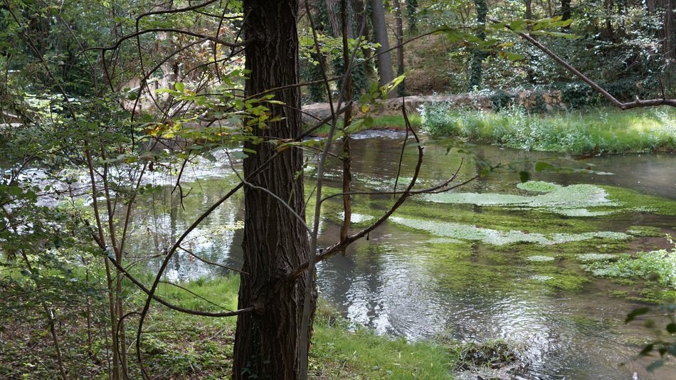 river stone monastery near the trees