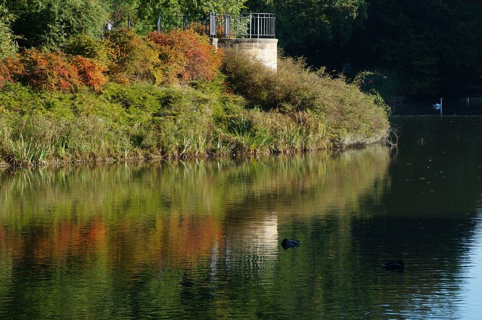 mirror image of the autumn lakeside