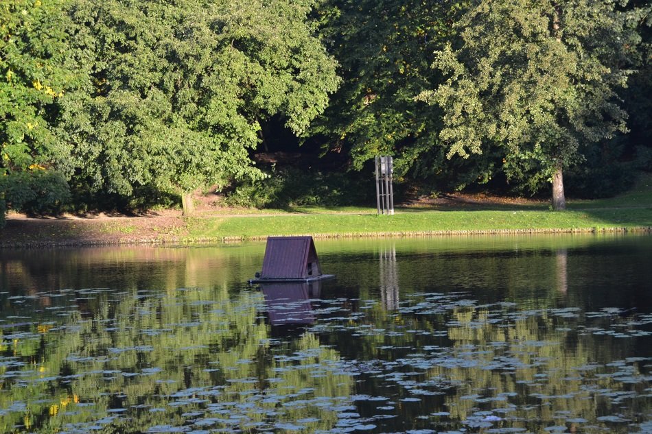 nature in the castle park