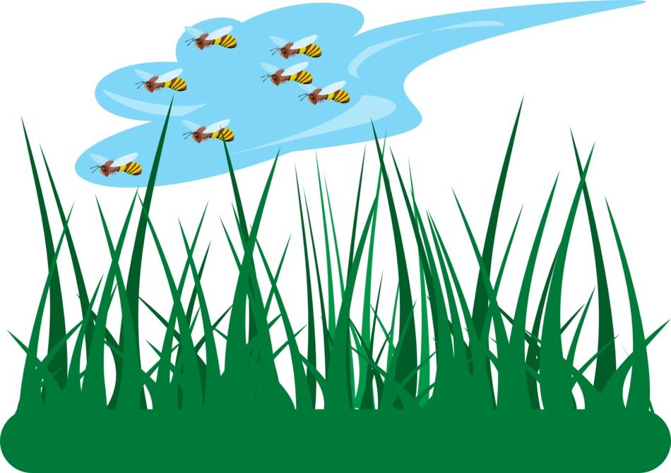 green grass and honeybee cloud vector drawing