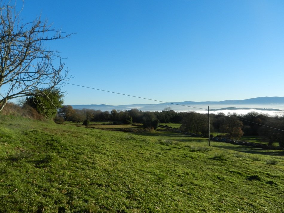 prado fog summer landscape