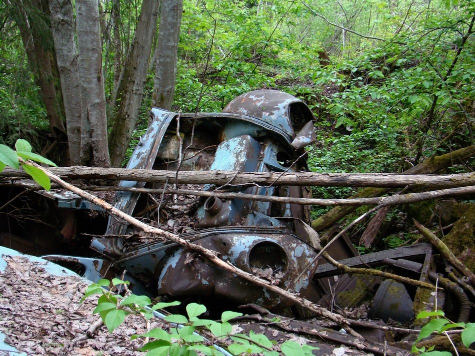 the remains of a car shredder near a tree