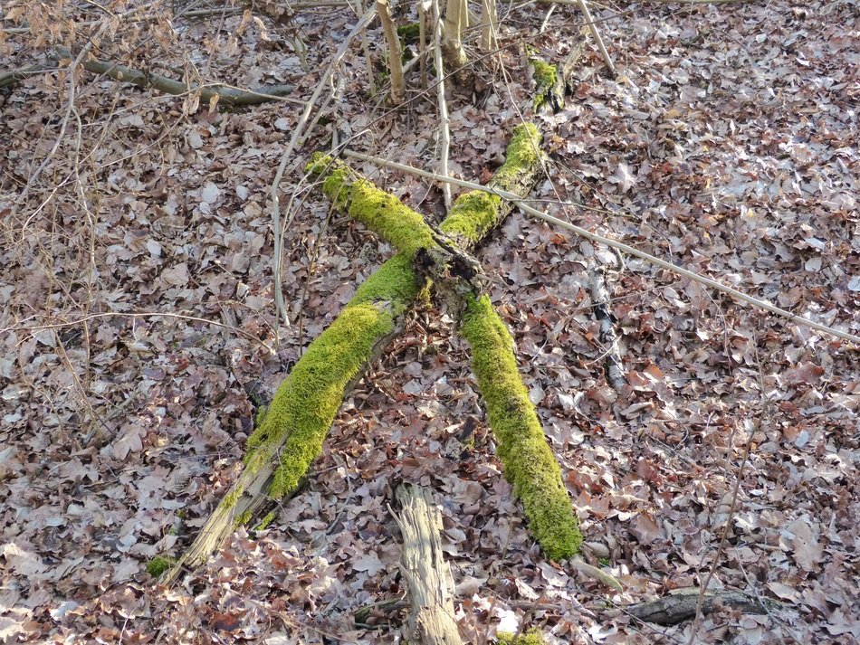 wooden cross with green moss