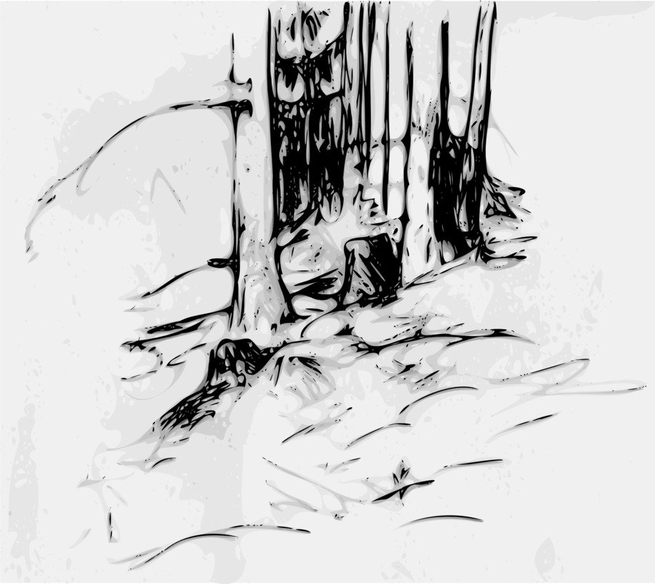 İllustration of the forest