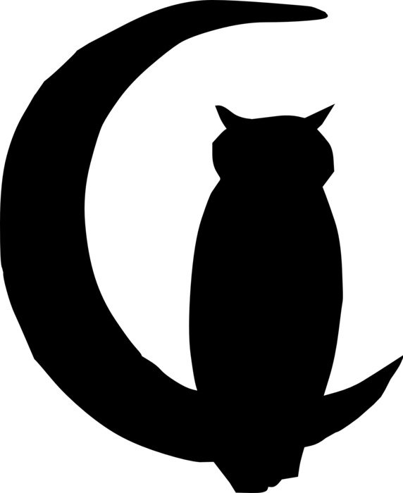 owl bird on moon drawing