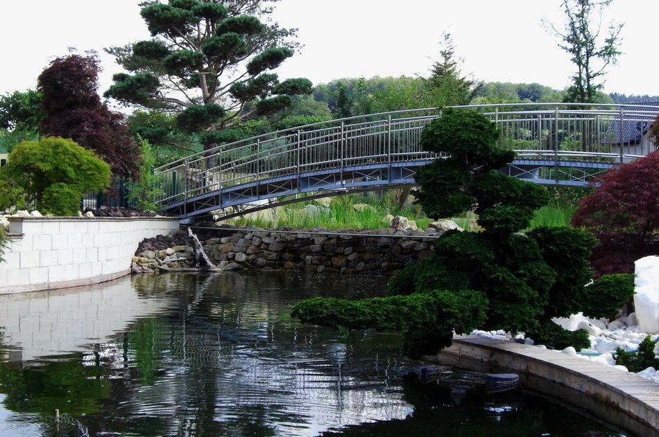 bridge through pond
