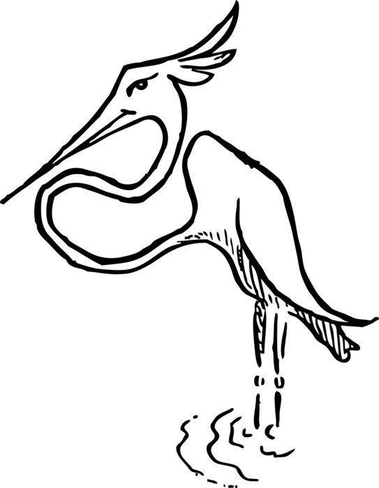 drawing wild flamingo in water