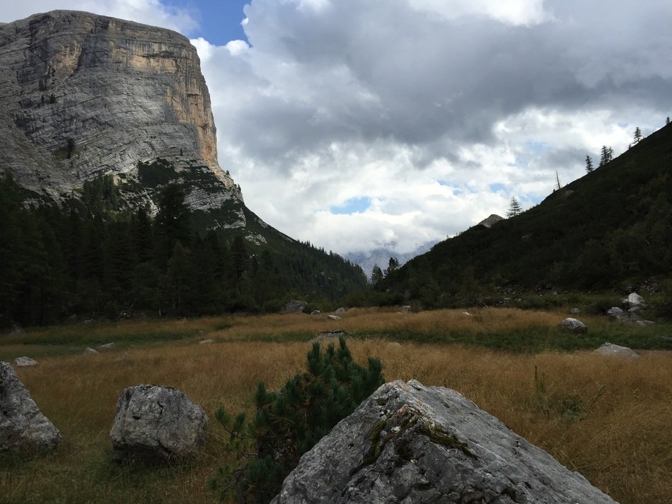 dolomites in the woods on a background of the cloudy sky
