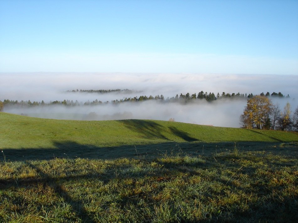 thick fog over green fields