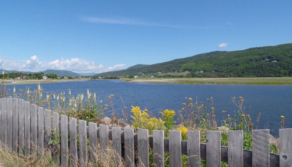 fenced flower bed on coastline of scenic bay