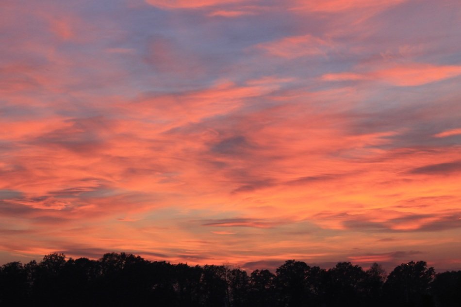 pink sky in the sunset