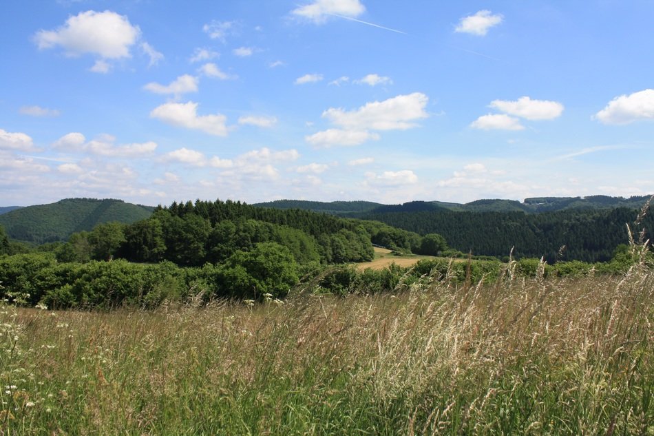 pure sky over summer landscape