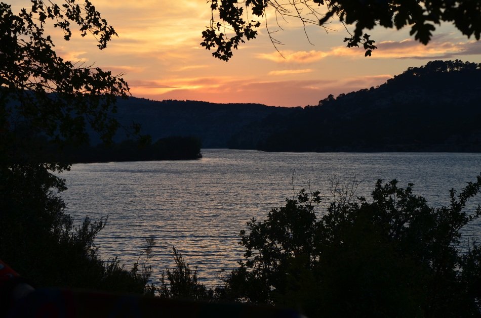 dark forest at lake, sunset