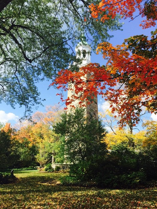 tall building in the autumn forest