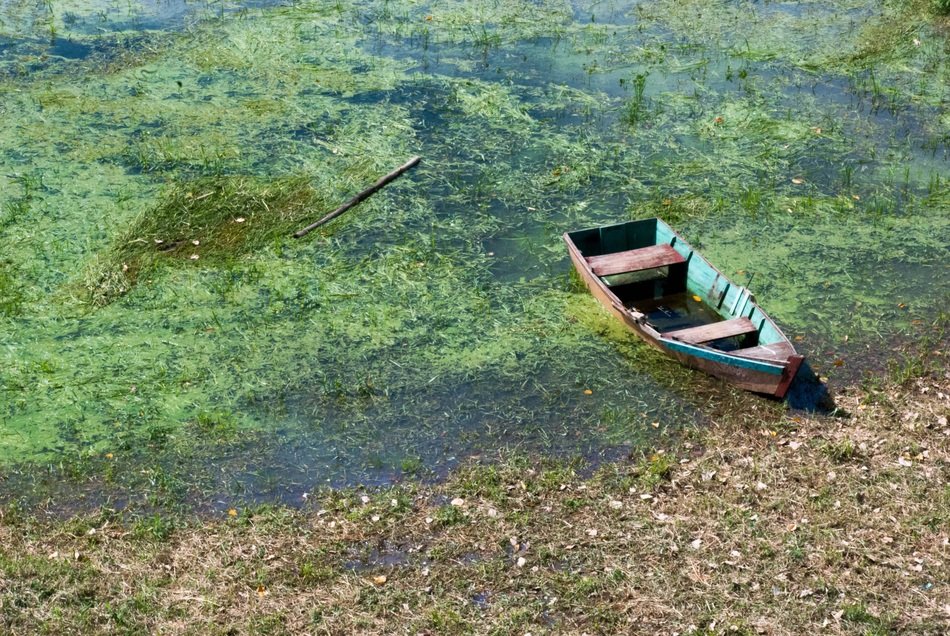 nature boat water