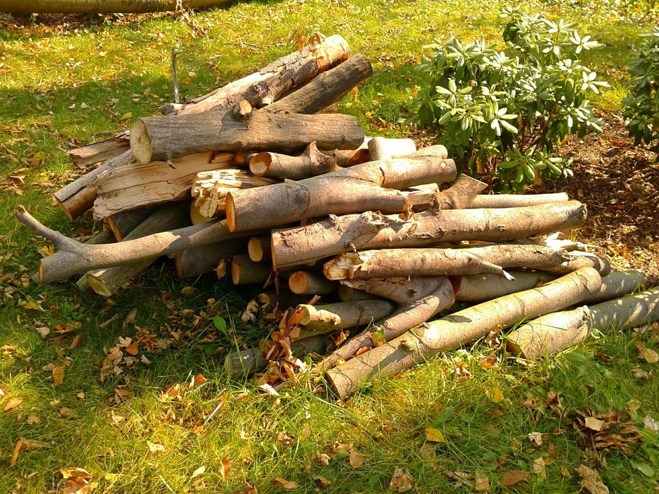 wood for the fire