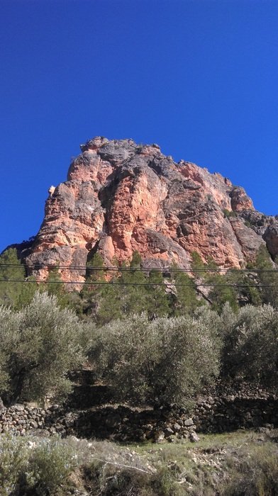 Red Mountain in the reserve