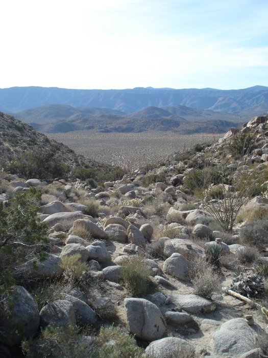stony desert in California