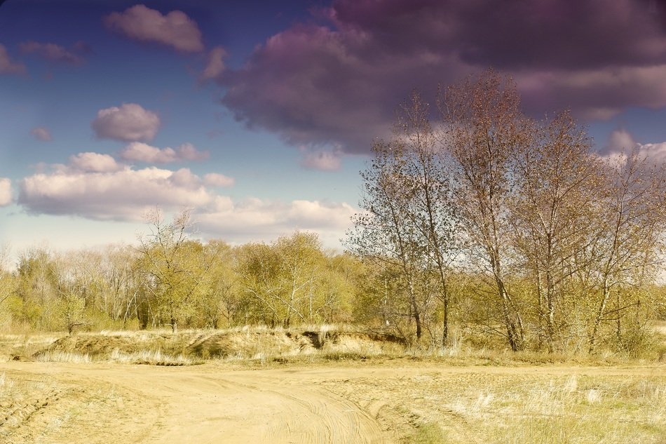 sunny weather in the countryside