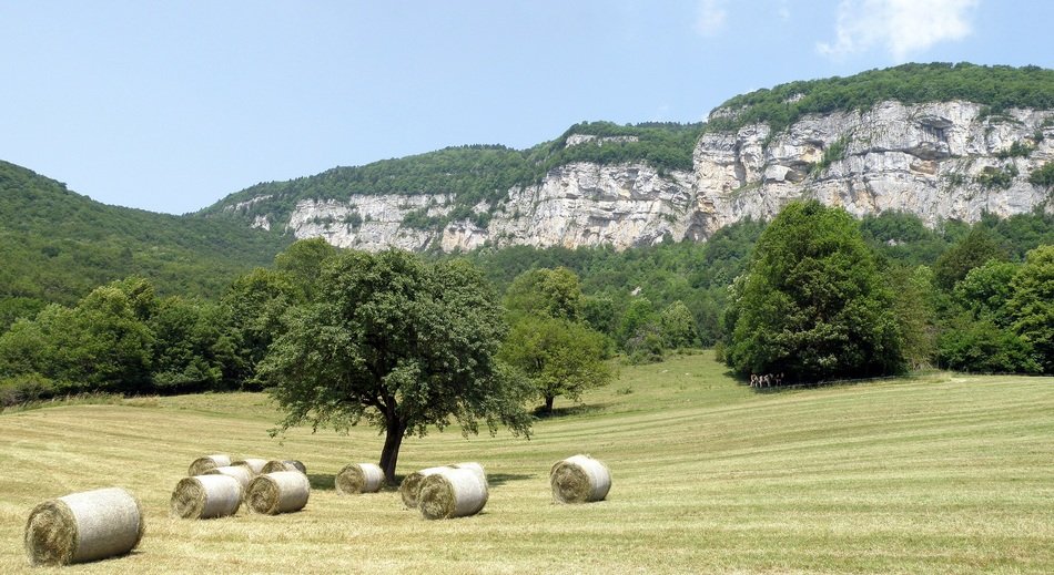 Farmland in Alleves