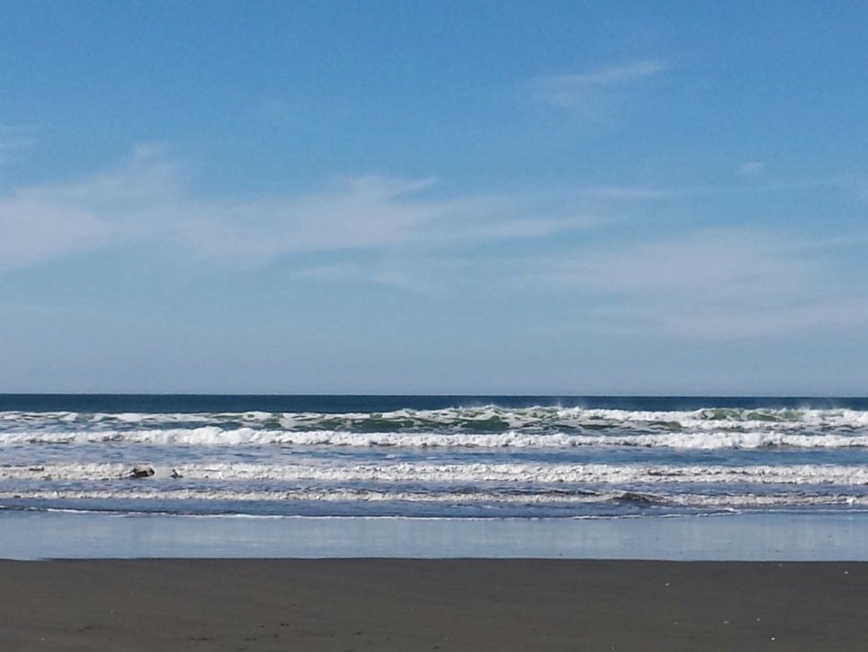Landscape of the ocean beach