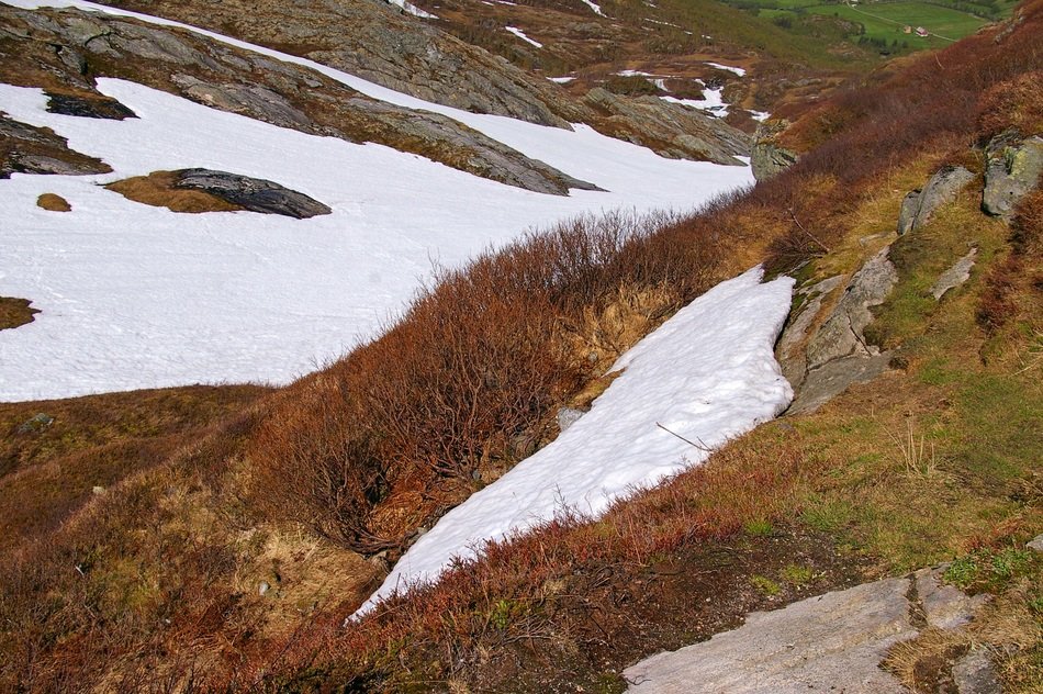 Norwegian landscape in spring