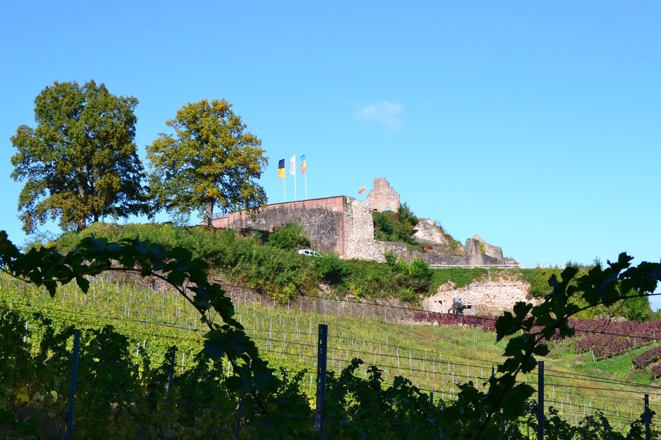 stronghold black forest