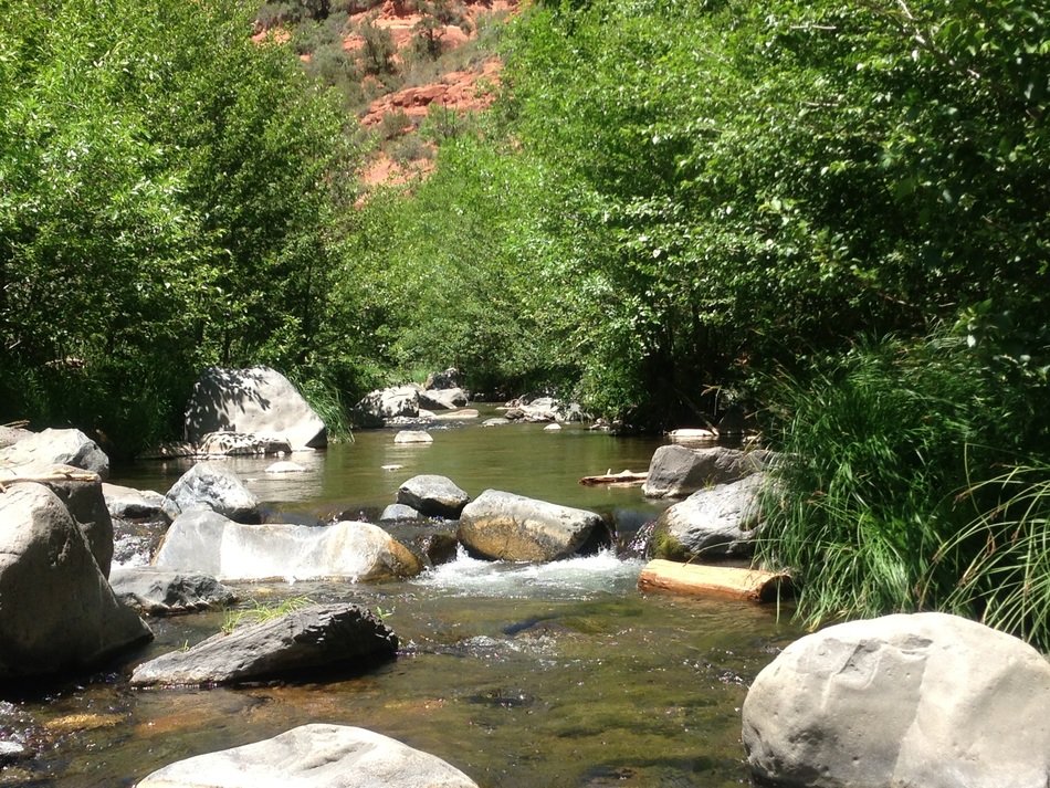 river among the stones on a sunny day