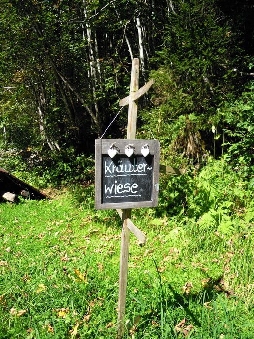 grave in the forest