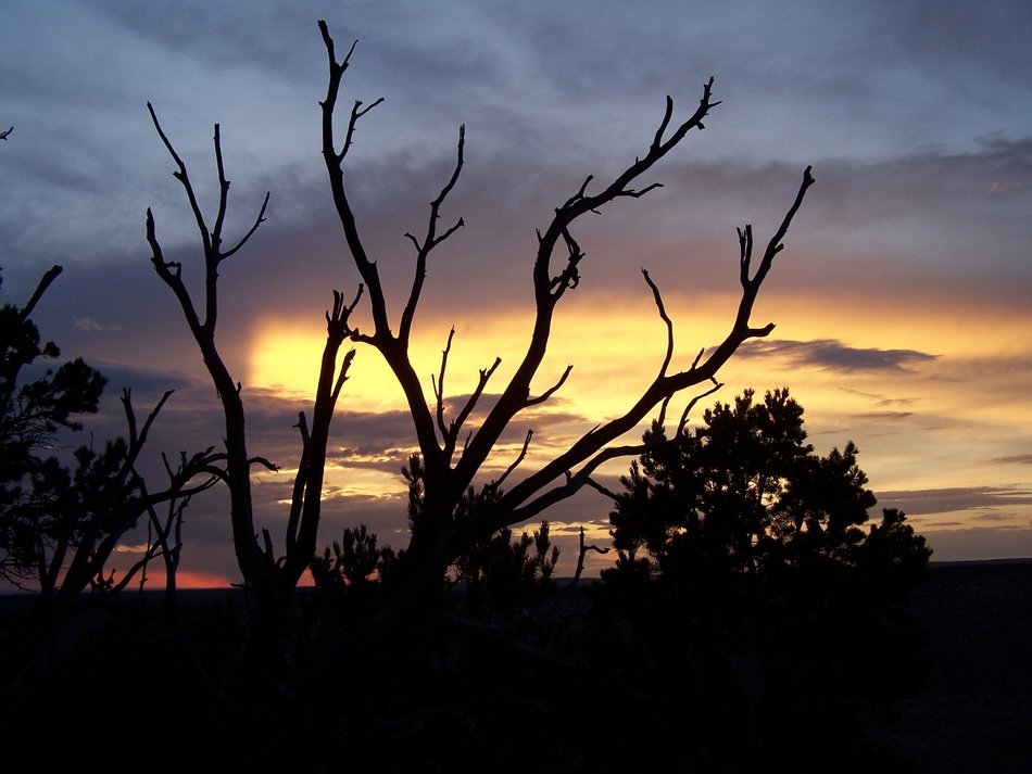 peaceful dramatic sunset