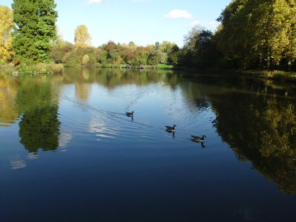 more summer in the park