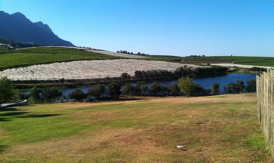 beautiful nature near riebeek kasteel in africa