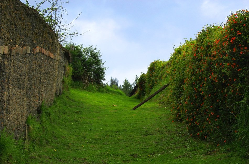 green landscape of the park