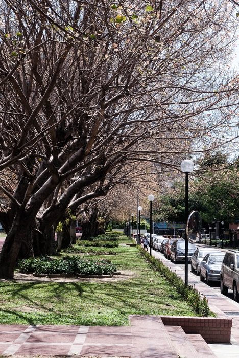 street in spring