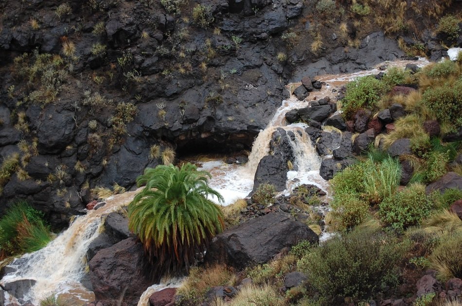 stream after rain