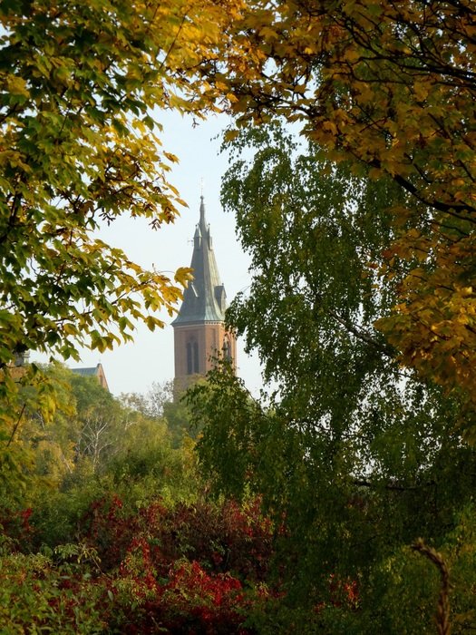 the dome of the church can be seen behind the yellow trees