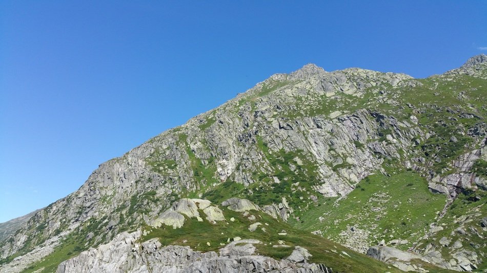 Grass on mountain peak
