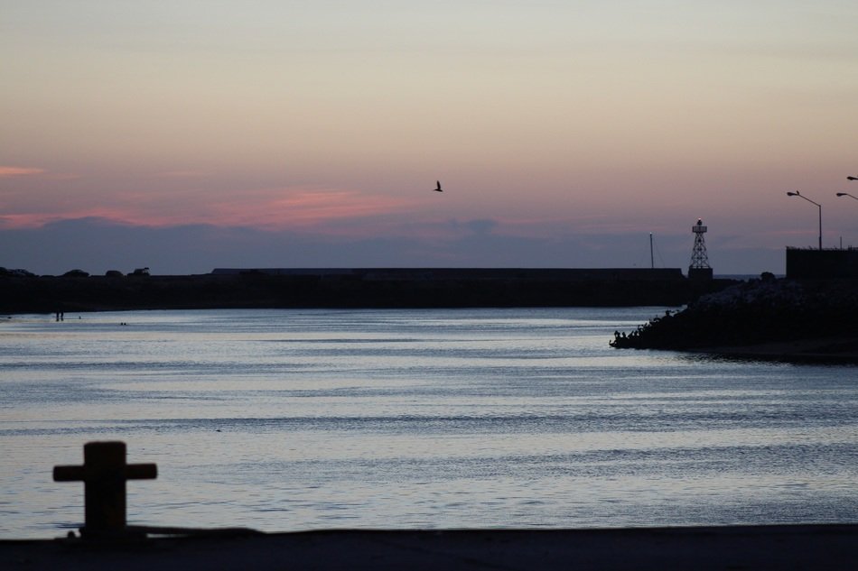 dusk near bay water landscape