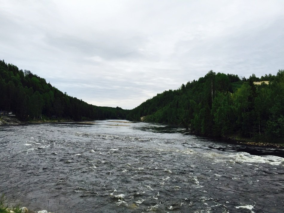 wide river with forested banks at cloudy weather