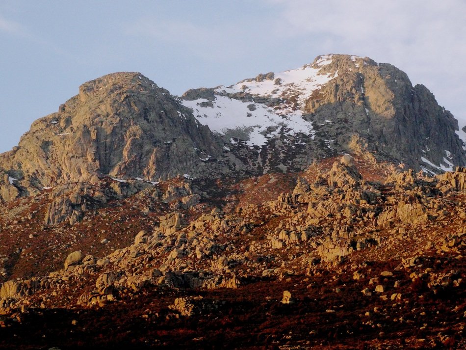 landscape of Sempervivum snowy mountains