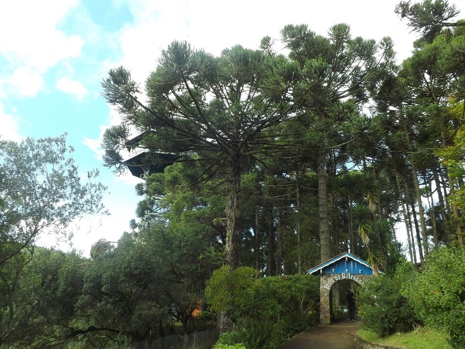 green park in Brazil