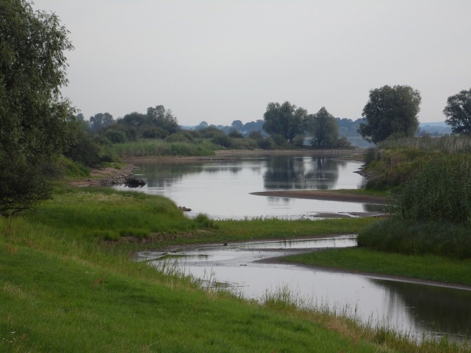 national park elbtalaue