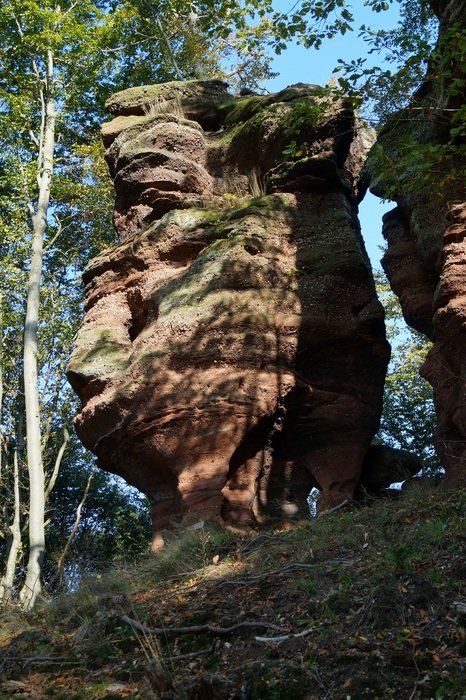 sandstone in a forest in alsace