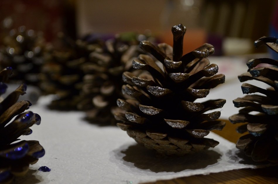 cones like autumn decor